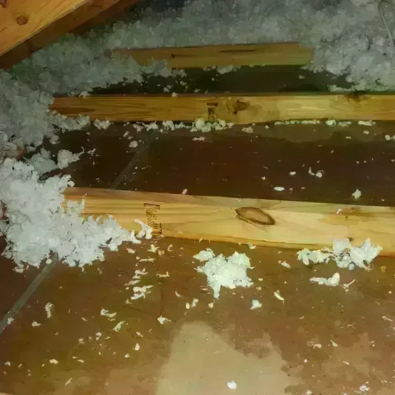 Attic Water Damage in Ellsworth, KS